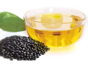 牡丹籽油設備 牡丹籽油榨油精煉生產線(圖1)