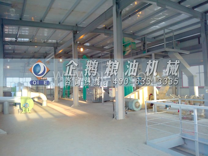 如何提取到高質(zhì)量的大豆油？一條企鵝浸出生產(chǎn)線就足夠了(圖2)